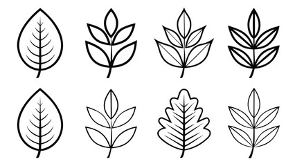 Leaves and branches collection of drawn botanical elements decorative illustration