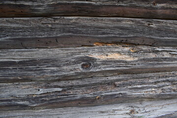 Close-up of old weathered wooden wall with cracks, decay, knots, and insect damage. Rustic texture, aged timber, natural erosion &mdash; ideal for backgrounds or textures