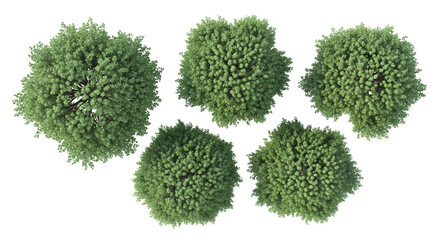 Aerial view of five green trees on a black background    .ai generative, transparent background, white background. isolated on white background, png, jpeg, jpg.