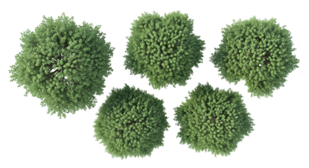 Aerial view of five green trees on a black background    .ai generative, transparent background, white background. isolated on white background, png, jpeg, jpg.