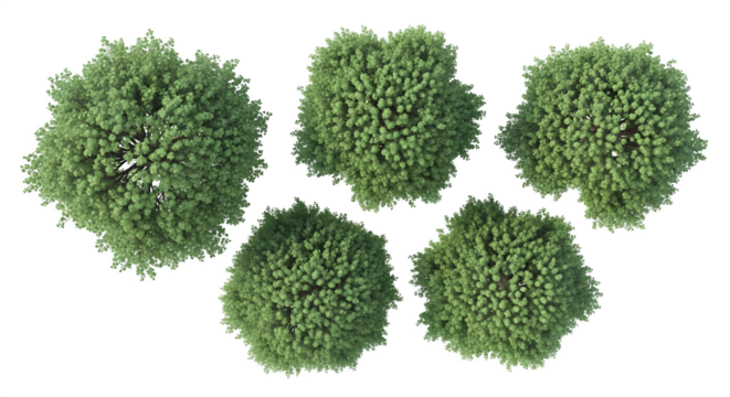 Aerial view of five green trees on a black background    .ai generative, transparent background, white background. isolated on white background, png, jpeg, jpg.