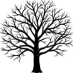 Obraz premium Stylized black silhouette of a bare tree with intricate branching pattern against white background