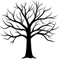 Obraz premium Striking black silhouette of a bare deciduous tree with intricate branches against a clean white background