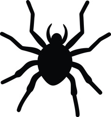spider on web silhouette