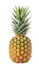 Fresh pineapple with vibrant green leaves isolated on transparent bg, cutout png