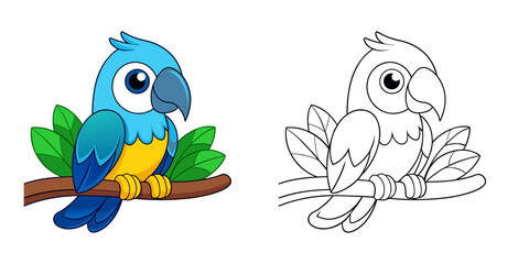 10. Colorful Feathers, Quiet Moments