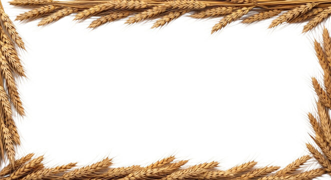 Wheat stalks border with golden grains arranged neatly creating a rustic frame cutout isolated on transparent bg, cutout png