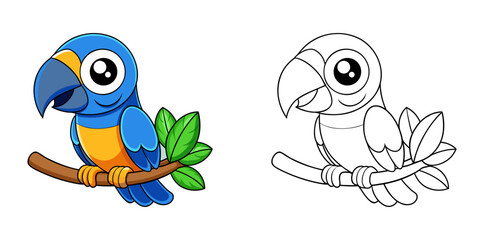 24. Colorful Feathers, Quiet Moments