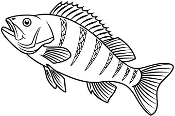 coloring page line art the perch black vector