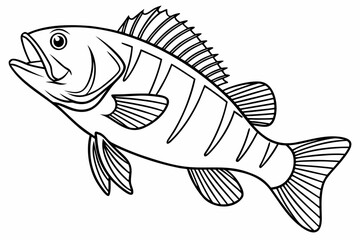 coloring page line art the perch black vector
