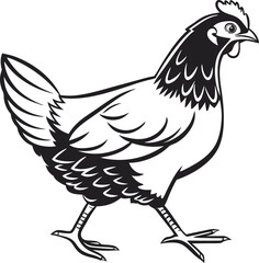 Monochrome Illustration of a Walking Chicken with Detailed Plumage and Distinct Features Presenting a Classic and Clean Animal Graphic