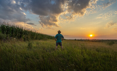 Fototapeta premium A person stands in tall grass facing the vibrant sunset, surrounded by lush cornfields. The warm evening sky glows with colors, creating a serene atmosphere in nature