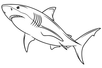 coloring page line art the bull shark fish black vector