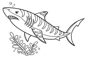 coloring page line art the tiger shark fish black vector