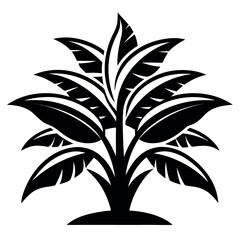 Bold Black and White Tropical Plant Illustration with Stylized Palm or Banana Leaves Pattern