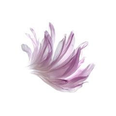 Abstract Lavender Flower Petals, Soft Floral Design Element