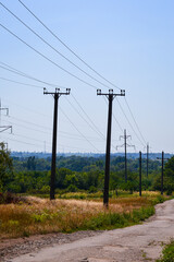 Electricity poles with overhead power lines against a clear blue sky and tree leaves in foreground.