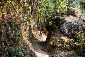 A dirt road passing through hills in rural Meghalaya.