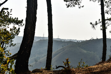 A beautiful, serene landscape with rolling hills, dense forests, and clear skies.