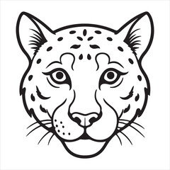 Ghost of the Mountains: Elusive, Agile & Majestic Snow Leopard