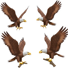 Obraz premium Majestic 3D cartoon eagle character set. Collection of eagles, hawks, and falcons flying and soaring with wings spread. Bird of prey mascot isolated on transparent background.