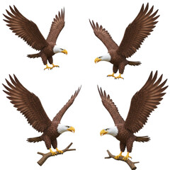 Obraz premium Flying 3D cartoon eagle character set. Collection of powerful eagles and hawks soaring through the sky. Majestic bird of prey mascot isolated on transparent background.