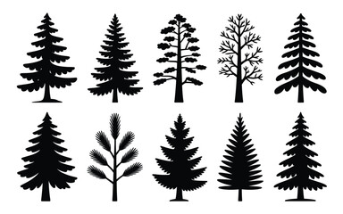 Vector art of collection of various coniferous tree silhouettes isolated on white background for design