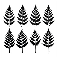 Obraz premium Vector art of a set of fern leaves 