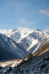 A vertical shot of majestic snowcapped mountains with a mix of snowy and bare trees in the foreground on a sunny winter day