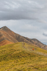 A solitary person wearing an orange jacket hiking on a trail in a vast, grassy mountain landscape under a dramatic cloudy sky