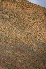 A group of wild mountain goats climbing a steep, arid hillside covered in sparse vegetation
