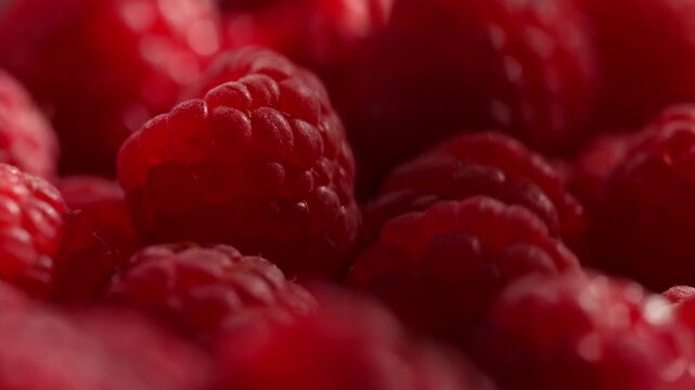 Sunlit raspberries glow under dappled forest light, their glossy surfaces catching sunlight through branches in extreme close-up. Vibrant summer freshness.