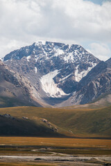 A dramatic vertical shot of a majestic snowcapped mountain peak towering over a vast, golden and green valley under a cloudy sky