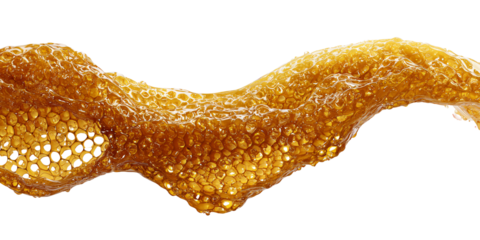 Golden honeycomb dripping with fresh honey, closeup view of natural sweet honey texture Concept of beekeeping, healthy food, and organic product