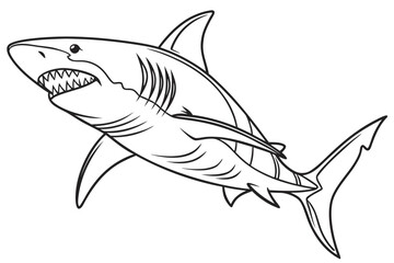 coloring page line art the shark fish black vector