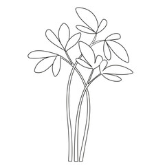 Watercress Microgreens Black and White Line Vector Illustration