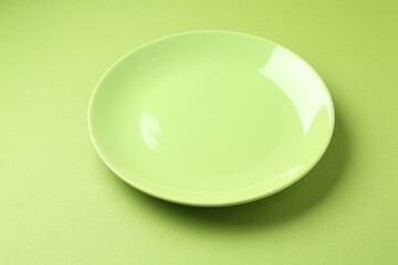 One stylish plate on green background, closeup