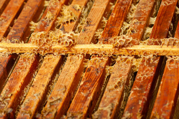 Fragmented honeycomb and beeswax on wooden beehive frames, a high-texture macro shot for designers creating natural or organic product labels, educational graphics, or rustic, nature-themed background