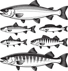 Traditional Line Engraving Fish Set – Hand-Drawn Vector Illustrations of Marine and Freshwater Species