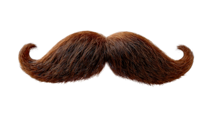 Realistic Brown Mustache on Transparent Background for Creative Design Projects and Illustrations