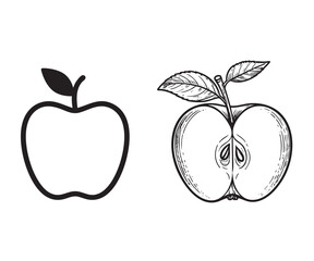 Apple Vector Illustration Set Outline and Detailed Drawing of Fruit with Leaf Design Element