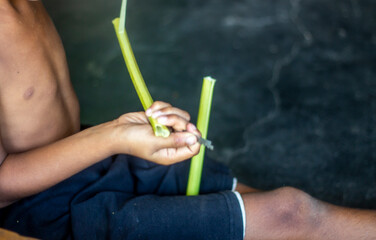 A little boy is cutting the top of a tree with a blade.