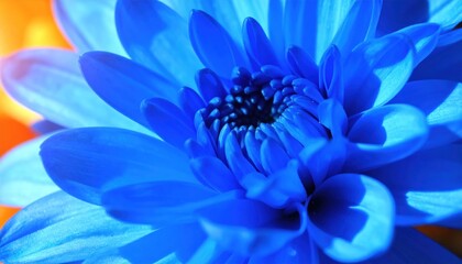 Vibrant Blue Dahlia: Close-up Floral Detail