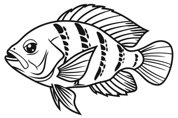 coloring page line art the oscar fish black vector