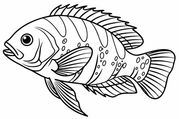 coloring page line art the oscar fish black vector