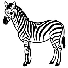 Minimal Zebra on White