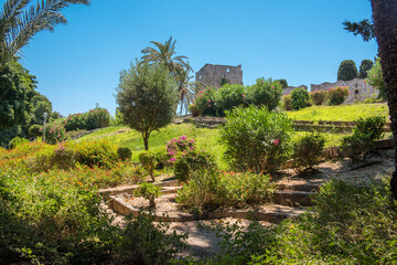 Landscaped medieval garden on the territory of the old town of Rhodes