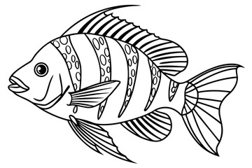 coloring page line art the cichlid fish black vector