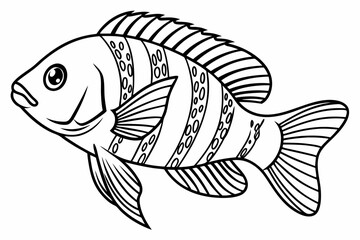 coloring page line art the cichlid fish black vector