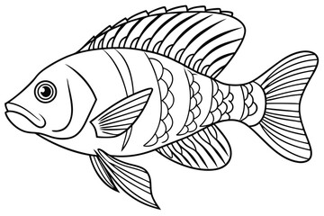 coloring page line art the cichlid fish black vector
